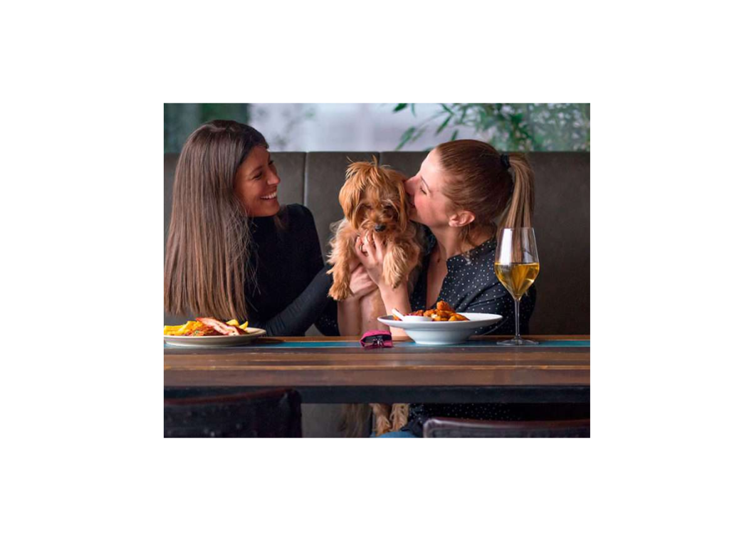 guia de locales que admiten perros en Ferrol (2)