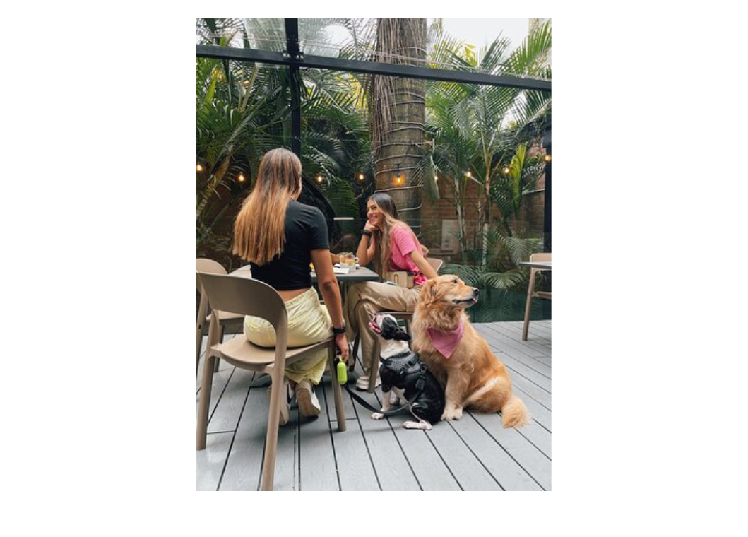 guia de locales que admiten perros en Narón